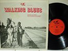 Rare Blues LP - Various Artists - Walking Blues - Flyright # 541 - UK Import