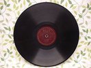 *  BLUES 78, JOSHUA WHITE on CONQUEROR 8245, VG+