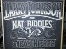 LARRY JOHNSON NAT RIDDLES THE DOCTORS BASIN FREE RARE PRIVATE BLUES ORIG LP