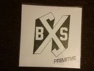 Boston Strangler - Primitive 12