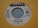 funk soul 45 MAGNUM Evolution / Your Mind HEAR phoenix