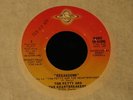 Tom Petty/ Heartbreakers-Breakdown-ORIG. 1976 US MONO/STEREO Promo 45- NM-