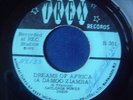 REGGAE / FUNK - GAYLORDS POWER UNION - DREAMS OF AFRICA - ON TREX LABEL