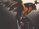 Budgie - In For The Kill Vinyl EU LP