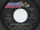 HEAR- Rare Northern Soul 45- The Ikettes- What'cha Gonna Do- Phi-Dan 5009- Promo