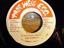 The Morwells  In Reality  7
