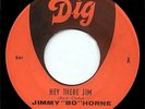 Jimmy Bo Horne - Hey There Jim on Dig (*His personal copy)