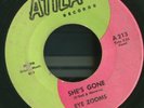 Garage EYE ZOOMS on Atila Moody Monster No No No 60s Rebellion 1965 LISTEN