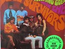 Soul Survivors-When The Wind Blows Anything Goes-Crimson 502-Mono-Sticker-SEALED