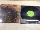 PROTECTOR   URM THE MAD LP  SODOM KREATOR TANKARD