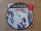 ALICE IN CHAINS Down In A Hole 7