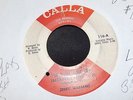 Jerry Williams - If You Ask Me VG Calla 116 Northern Soul 45 RPM - Hear It Now.