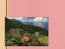 friedemann - indian summer (180 gramm) [vinyl lp] [vinyl lp] (LP) 0707787630016