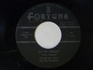 Pete De Bree-mis-press 45 HEY MR. PRESLEY/Jimmy Gartin HONEY WON'T Fortune  VG++