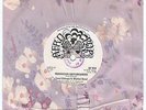 TINEI CHIKUPO & THE MOTHER BAND / AFRO ZIMBABWE SOUNDS 70s -DEAD STOCK- LISTEN