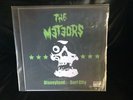 The Meteors Disneyland Surf City 7