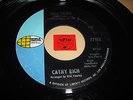 LISTEN - KILLER GARAGE PSYCH GIRL - CATHY RICH - WILD THING - PAPER TIGER