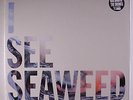 DRONES: I See Seaweed LP (Spain, 2 LPs) Rock & Pop