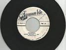 TOMMY MCCOOK &  THE SUPERSONICS / WINDFALL / 7''/ VG