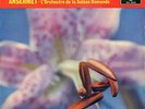 Decca SXL2042 - Stravinsky - The Rite Of Spring - ANSERMET - CLASSIC DECCA SOUND