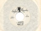 BUDDY ACE I Wonder / Pleasing You US press Paula Records 371 Promo SP