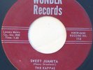 RARE Doo Wop 45 - THE KAPPAS - Sweet Juanita / Your Love - WONDER Label
