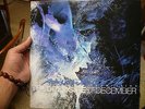 The Opposite of December/Tear from the Red by Poison the Well (Vinyl,...