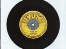 1954 ELVIS PRESLEY 45 RPM SUN RECORD MYSTERY TRAIN 223