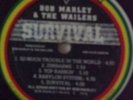Bob Marley & The Wailers Survival Tuff Gong (Red colour record)