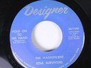 Hear Black Gospel Soul Designer Style Wooten 45 Soul Survivors - The