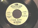 THE ELECTRAS BOO BABE/CAN'T YOU SEE IT IN MY EYES 60's GARAGE PUNK BAND PROMO