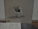 Triumvirat Illusions On A Double Dimple Japan LP Toshiba EMS-80043 Insert