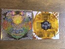 MEATBODIES - MEATBODIES COLOR VINYL LP ONLY 200 PRESSED TY SEGALL Fuzz