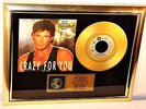 David Hasselhoff, Crazy For You, mit Cover, Gold Record, goldener Award, platin