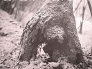 SADIK HAKIM - Canada - Vinyl (limited LP + photo insert)