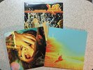 Flaming Lips 