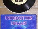 KING FOX - UNFORGOTTEN DREAMS