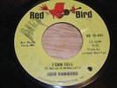 JOHN HAMMOND Blues Rock 45, I Can Tell / I Wish You Would, Red Bird 10-047