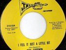 OTIS GOODWIN: I Feel It Just A Little Bit / Sometimes 45 Funk