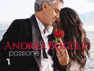Andrea Bocelli / Passione - Vinyl 2LP 180g 45 UPM audiophil ORG