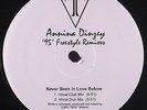 Annina Dinzey-Never Been In Love Before 12