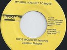 DIXIE WONDERS - MY SOUL HAS GOT TO MOVE - THERE IS A KING OF KINGS SOMEWHERE