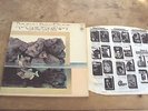 ROCK WORKSHOP  THE VERY LAST TIME LP UK 1st Harry Beckett Bob Downes Prog SUPERB