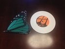 Saves the Day Rare I'm Sorry I'm Leaving Butterfly 7