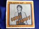 Rare 1977 Power Pop PS & 45 : Chris Stamey   The Summer Sun   ORK 81982