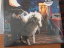 Fall Out Boy Infinity on High Vinyl 2x LP Sealed Clear Blue Splatter Vinyl