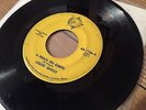LIQUID GHOST a peace on earth / plastic bags  US PSYCH GARAGE eab 45