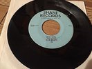THE BLUE BEATS bad girl US GIRLS IN THE GARAGE PENNSYLVANIA girl group shane 45
