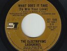 70s Soul 45 - Electrifying Cashmeres - What Does It Take - SS7 - mp3