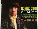 Ronnie BIRD 45 Chante 66 French Mod Garage Fuzz + Lies cover Hear Listen ? ?